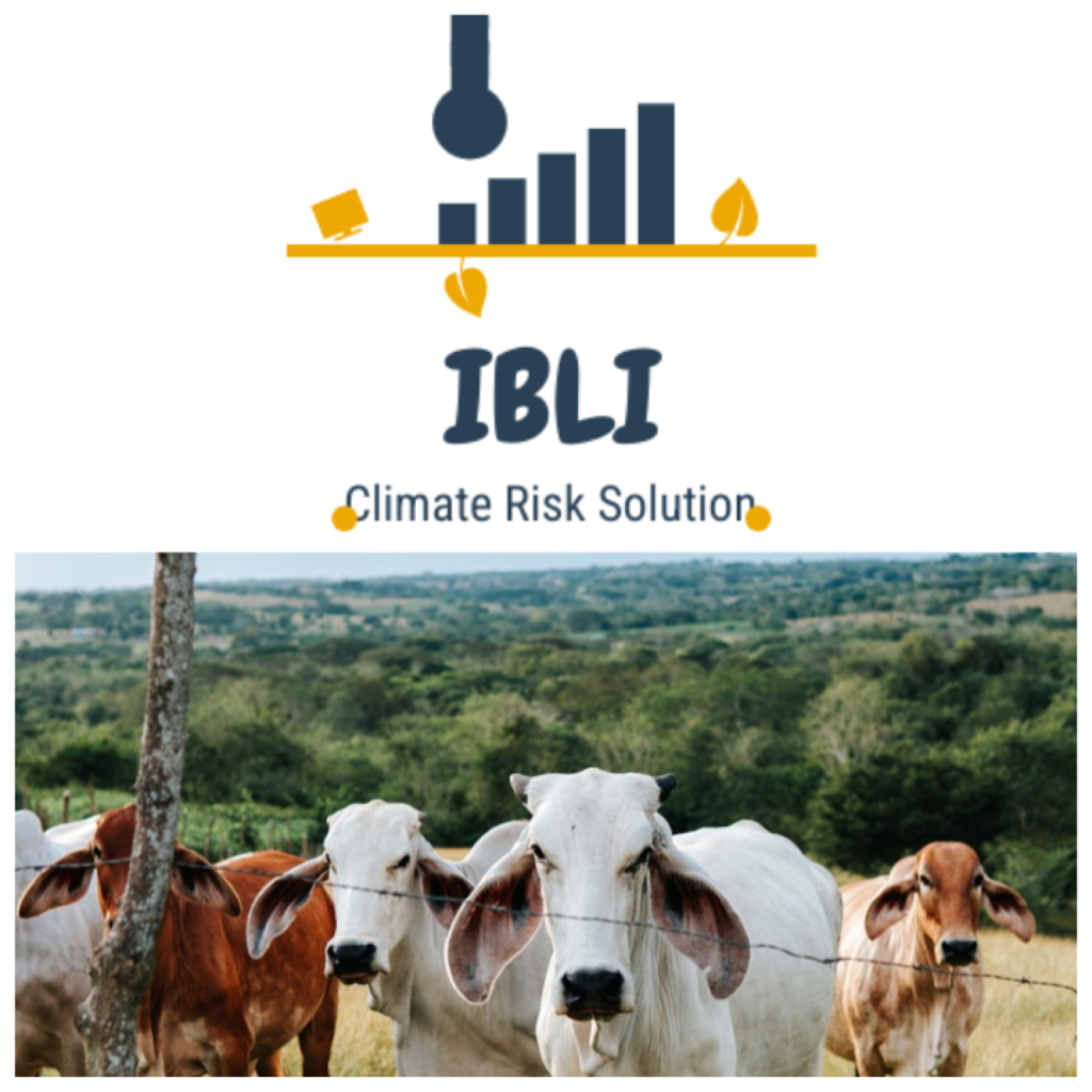 Index-Based Livestock Insurance: Promise of Innovative Climate Risk Solution